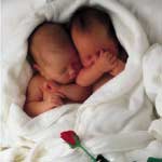 B&eacute;b&eacute;